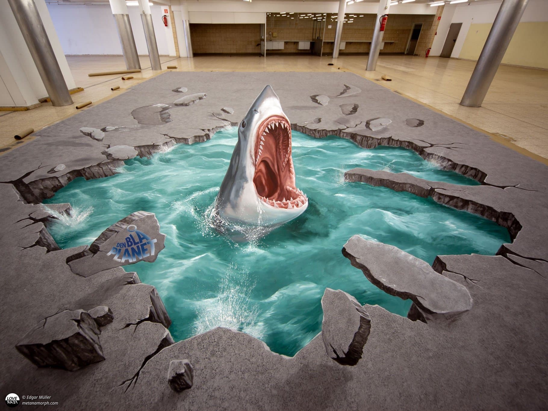 Dreidimensional gemalter Hai bricht aus dem Boden